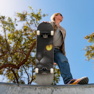 Portrait of Angry Fluffy Black Persian Cat Face Skateboard