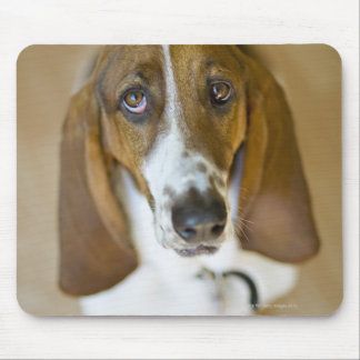 Portrait of Bassett, Washington Mouse Pad