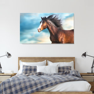 Portrait of Beautiful Horse with Long Mane Canvas Print