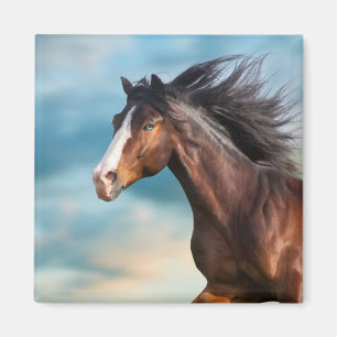  Portrait of Beautiful Horse with Long Mane        Magnet