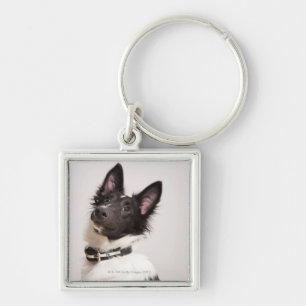 Portrait of black and white shetland sheepdog keychain