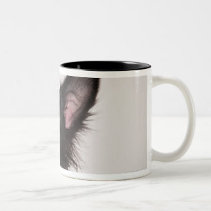 Portrait of black and white shetland sheepdog Two-Tone coffee mug