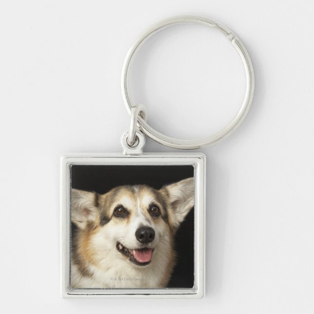 Portrait of black, brown and white Corgi Keychain (Front)