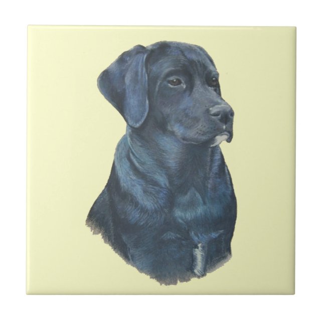 portrait of black labrador dog tile (Front)