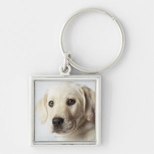 Portrait of blonde Labrador Retriever Puppy Keychain