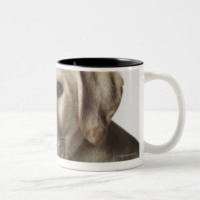 Portrait of blonde Labrador Retriever Puppy Two-Tone Coffee Mug (Right)