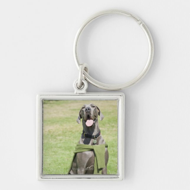 Portrait of Blue Great Dane Keychain (Front)