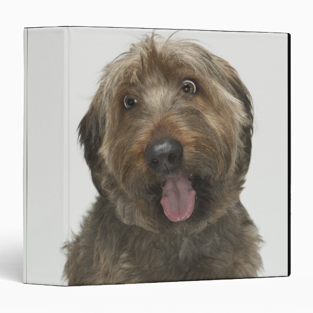 Portrait of Briard dog Binder (Front/Spine)