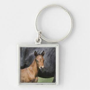 portrait of brown foal keychain