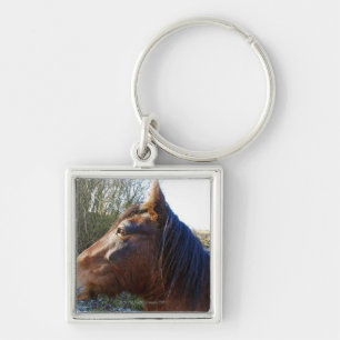 Portrait of brown horse on cold day staring into keychain