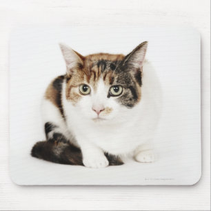 Portrait of Calico cat Mouse Pad