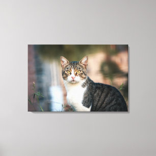 Portrait of cat canvas print