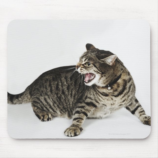 Portrait of cat hissing mouse pad (Front)