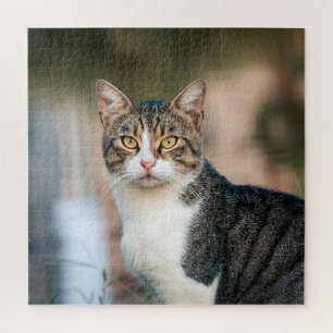 Portrait of cat jigsaw puzzle