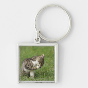 Portrait of Cat Keychain