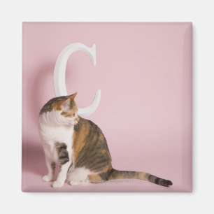 Portrait of cat magnet