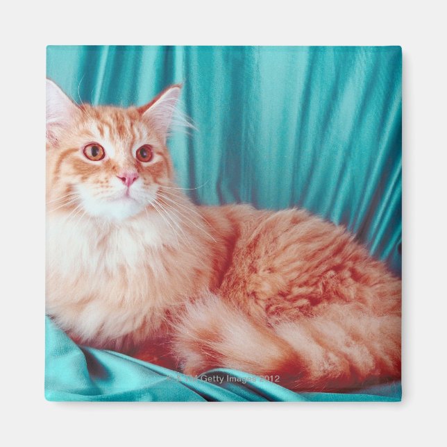 Portrait of cat magnet (Front)