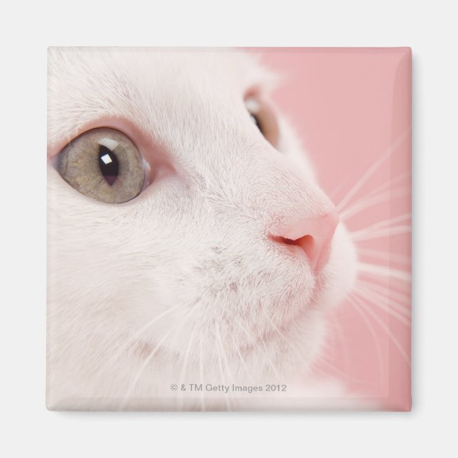 Portrait of cat magnet (Front)