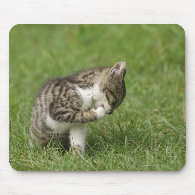 Portrait of Cat Mouse Pad (Front)