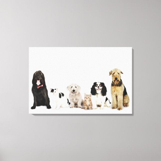 Portrait of cats and dogs sitting together canvas print (Front)