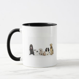 Portrait of cats and dogs sitting together mug