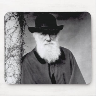 Portrait of Charles Darwin  1881 Mouse Pad