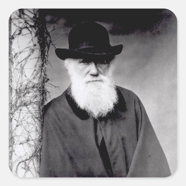 Portrait of Charles Darwin  1881 Square Sticker (Front)