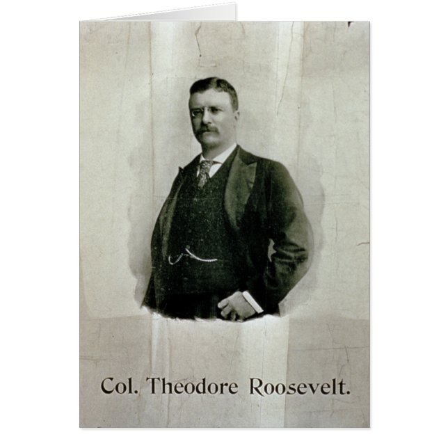 Portrait of Colonel Theodore Roosevelt (litho) (Front)