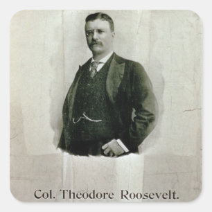 Portrait of Colonel Theodore Roosevelt (litho) Square Sticker