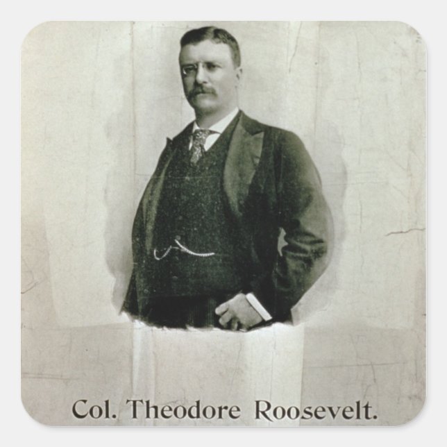Portrait of Colonel Theodore Roosevelt (litho) Square Sticker (Front)