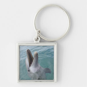 Portrait of Common Bottlenose Dolphin, Caribbean Keychain