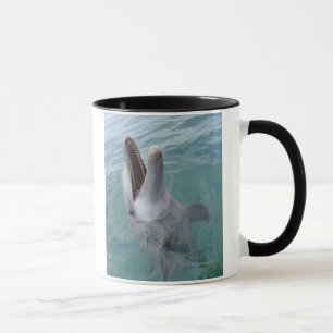 Portrait of Common Bottlenose Dolphin, Caribbean Mug
