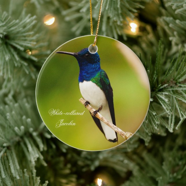 Portrait of Contemplation Round Ornament (Tree)