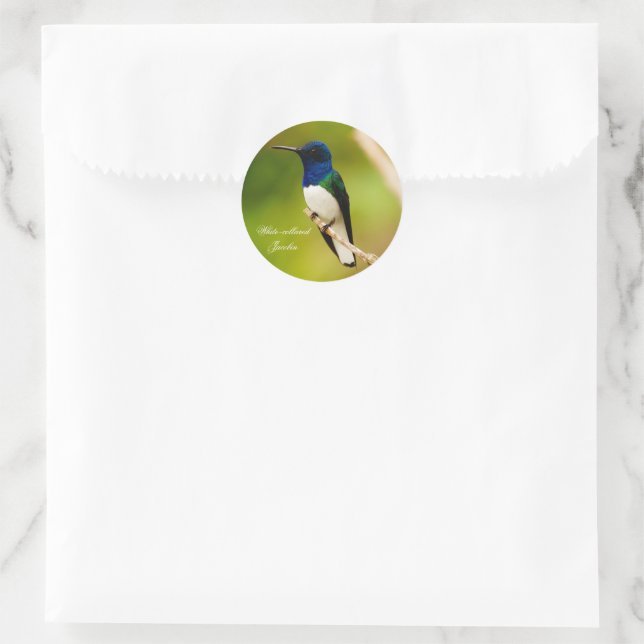 Portrait of Contemplation Round Stickers (Bag)