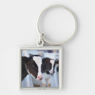 Portrait of cow keychain