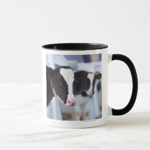 Portrait of cow mug