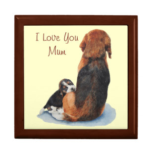 portrait of cute puppy beagle cuddling mum dog gift box