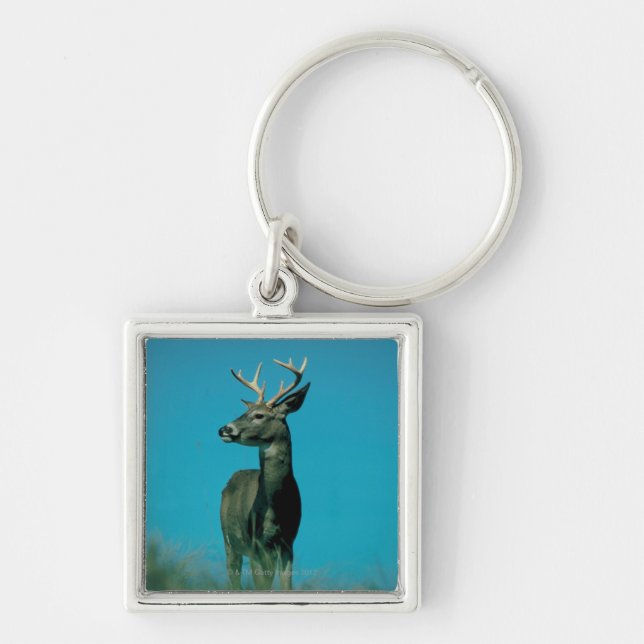 Portrait of deer keychain (Front)