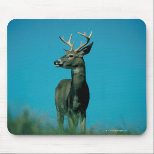 Portrait of deer mouse pad