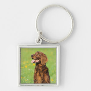 Portrait of Dog 2 Keychain