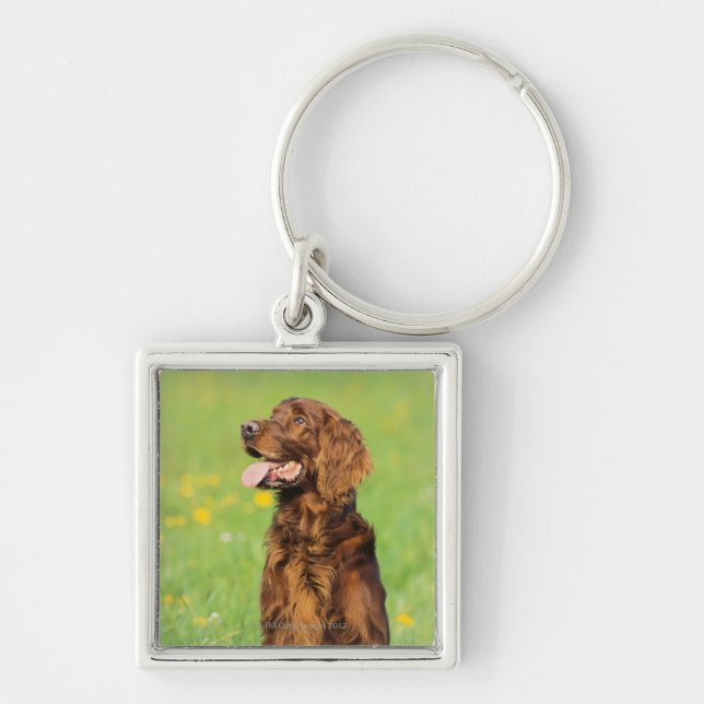 Portrait of Dog 2 Keychain (Front)