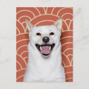 Portrait of Dog 3 Postcard