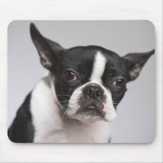 Portrait of dog mouse pad