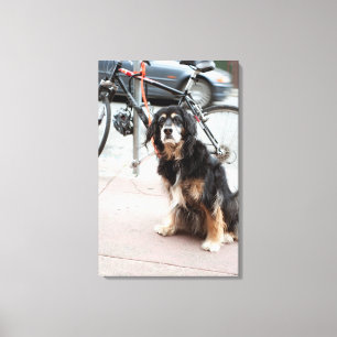 Portrait of dog waiting expectantly for owner; canvas print