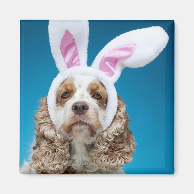 Portrait of dog wearing Easter bunny ears Magnet (Front)