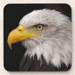 Portrait of eagle coaster