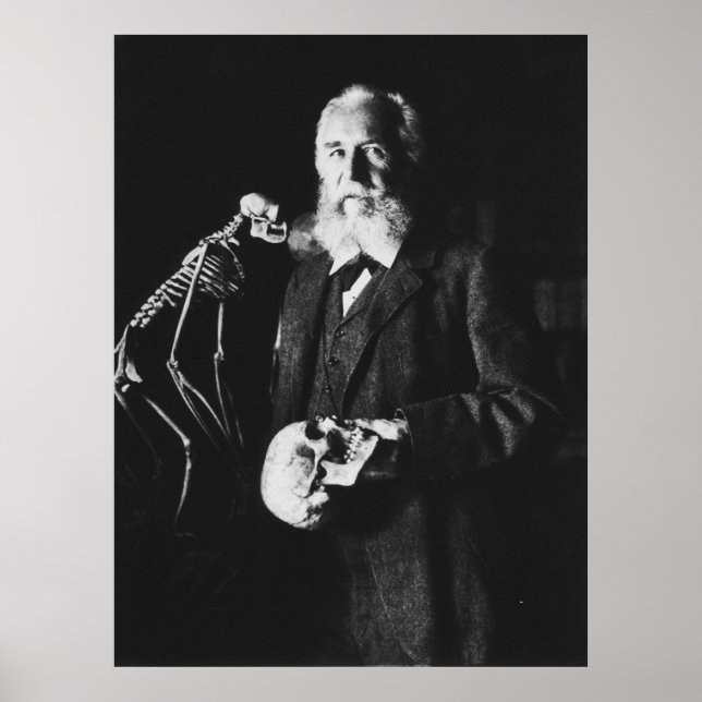 Portrait of Famous German Biologist Ernst Haeckel Poster (Front)