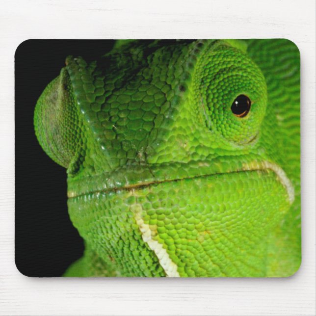 Portrait Of Flap-Necked Chameleon Mouse Pad (Front)