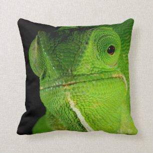 Portrait Of Flap-Necked Chameleon Throw Pillow