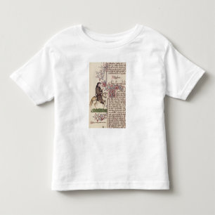 Portrait of Geoffrey Chaucer facsimile from Toddler T-shirt
